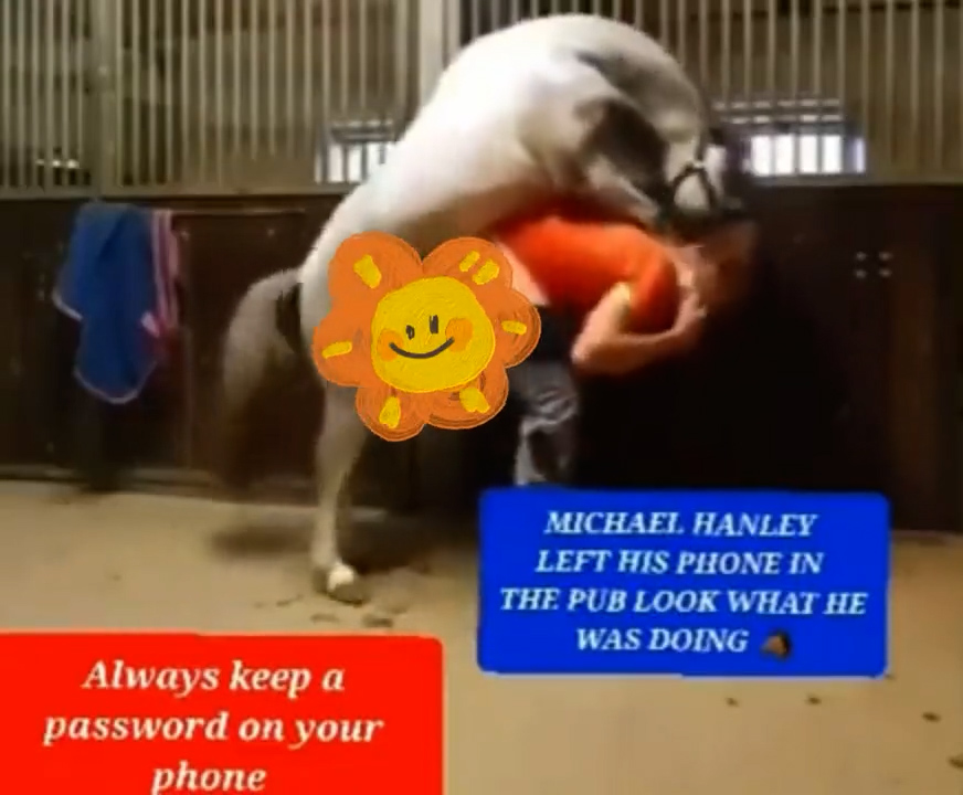 Michael Hanley horsevideo orange shirt mounting!!! Viral video leaked…